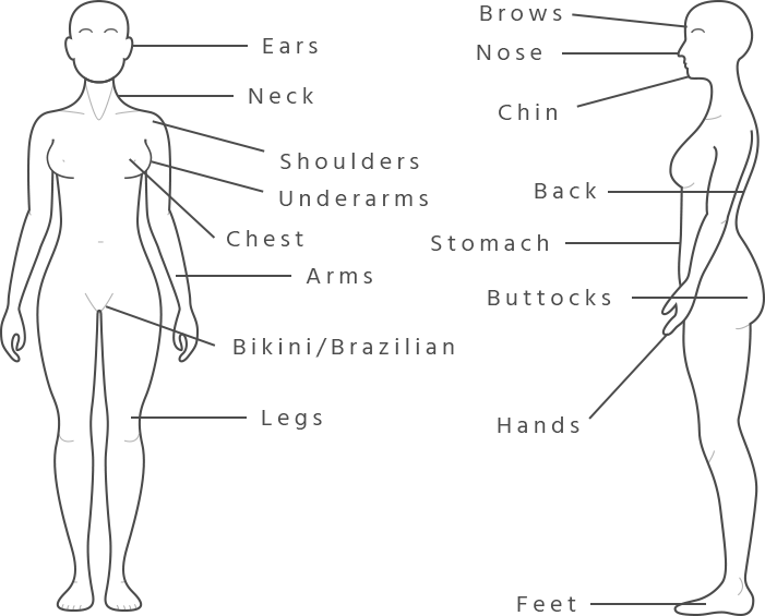 waxing-chart